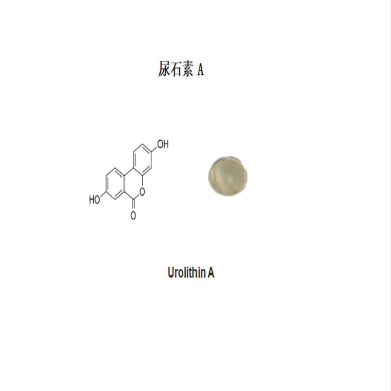 Urolithin A尿石素A CAS號(hào)1143-70-0